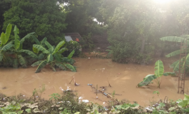 Haïti-inondations : 350 familles affectées à Petit-Goâve