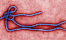 Desintox : Il n'y a aucun cas d'Ebola en Haïti