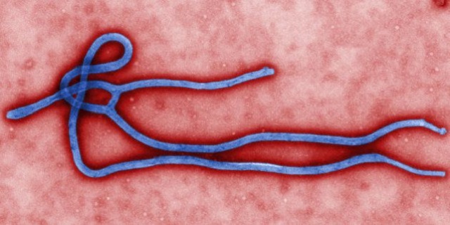 Desintox : Il n’y a aucun cas d’Ebola en Haïti