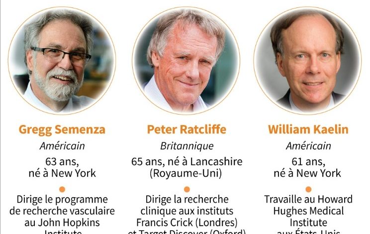 Deux américains et un anglais ont reçu le Prix Nobel de Médecine 2019
