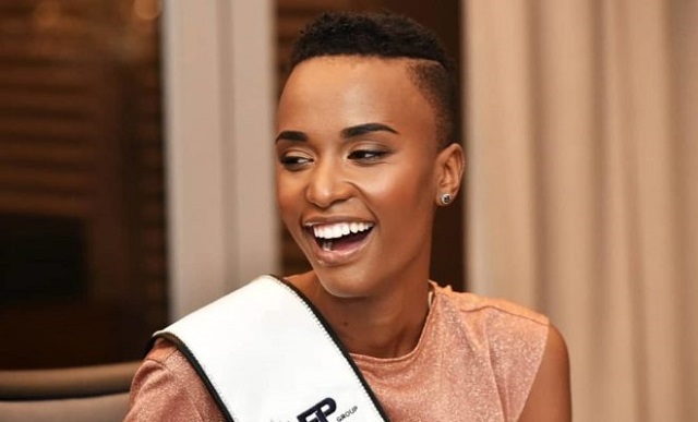 Zozibini Tunzi Afrique du Sud : sur le trône de Miss Univers