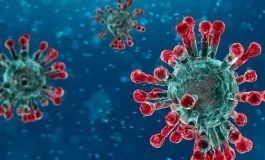 Coronavirus : les États-Unis ont enregistré 600 morts en une journée