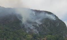 Incendie dans une forêt du Parc National Historique Citadelle/Sans-Souci/Ramier (PNH-CSSR)