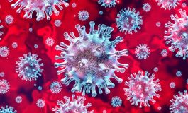25 cas de coronavirus déclarés en Haïti