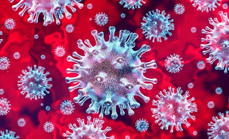 25 cas de coronavirus déclarés en Haïti
