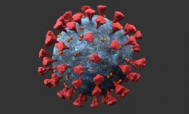 Haïti - Coronavirus : le début des calamités ?