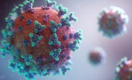 Covid-19/Haïti : 10 nouvelles infections au coronavirus et deux nouveaux décès