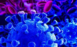Coronavirus : la barre tragique des 100.000 morts recensés aux Etats-Unis