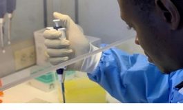 Coronavirus : 129 nouveaux cas d'infections sont confirmés en Haïti