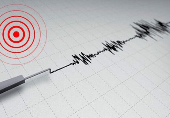 Un séisme de magnitude 7.1 au Mexique