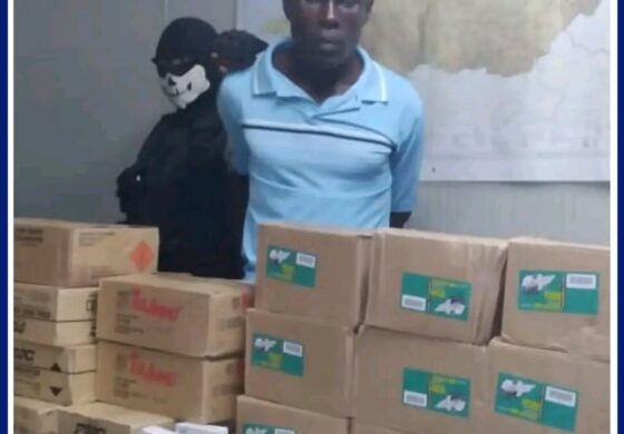 Opération policière : 120 mille cartouches de différents calibres confisquées à Port-de-Paix 