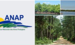 ANAP : le gouvernement limoge Jeantel Joseph et crée une Commission technique de restructuration