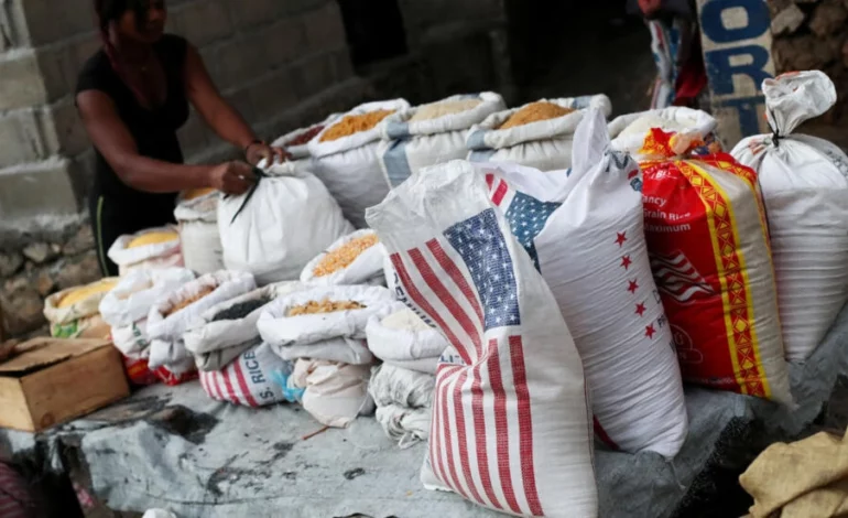 Des chercheurs tirent la sonnette d’alarme contre le riz américain consommé en Haïti